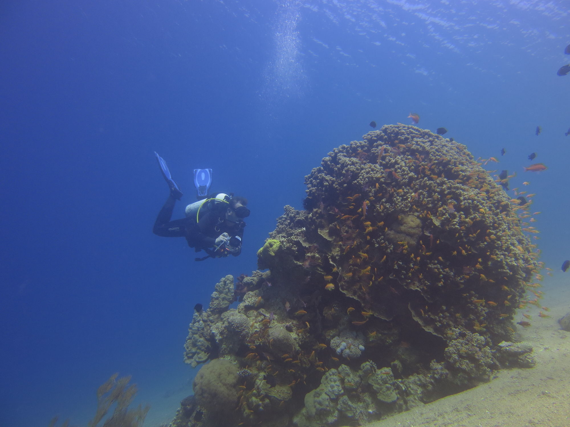 Red Sea Dive Center Hotell Akaba Eksteriør bilde