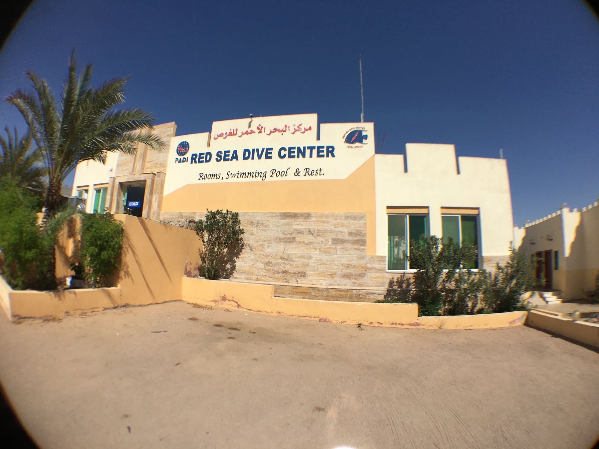 Red Sea Dive Center Hotell Akaba Eksteriør bilde